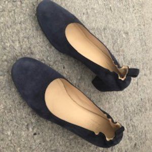Everlane Day Heel Navy Suede